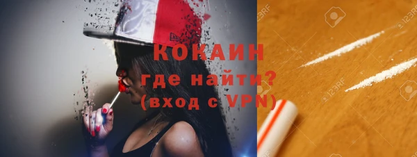 хмурый Белокуриха