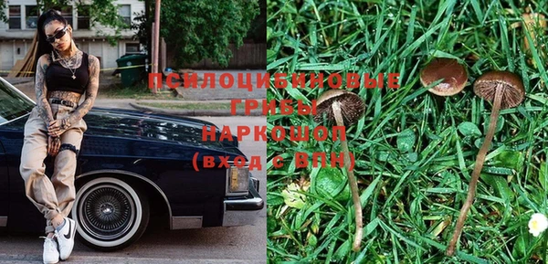 стафф Беломорск