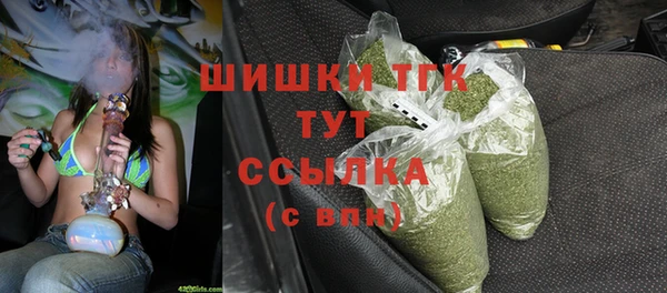 хмурый Белокуриха