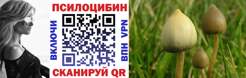 Купить  Инза  Галлюциногенные грибы GOLDEN TEACHER 